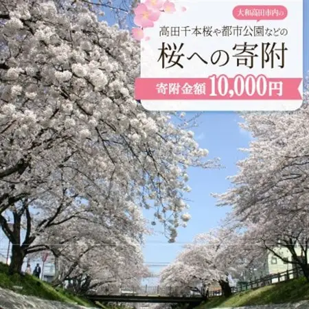 【返礼品なし】高田千本桜や大和高田市内の都市公園などの桜への寄附　1口:10,000円