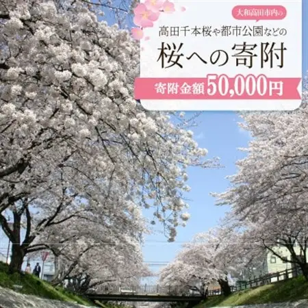 【返礼品なし】高田千本桜や大和高田市内の都市公園などの桜への寄附　1口:50,000円