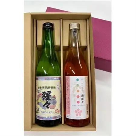 【野々市市の地酒】純米酒「猩々」と梅酒「梅猩々」お楽しみセット(各720ml　1本)【1701979】
