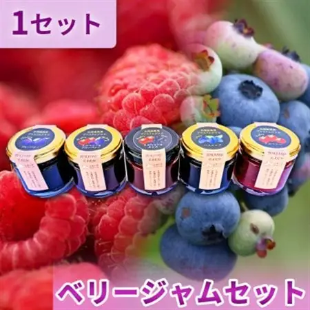 ベリージャムセット全5種 各70g【1678025】