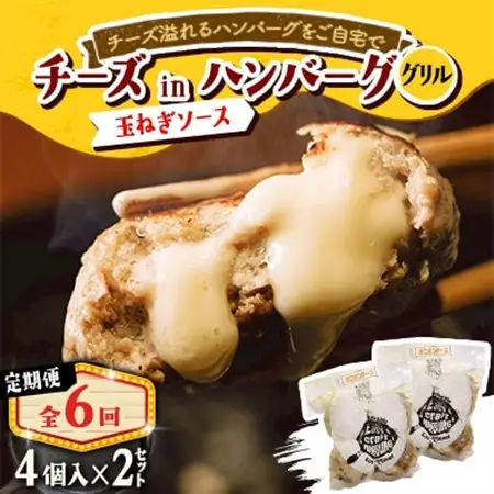 【毎月定期便】チーズ in ハンバーグ　グリル 4個入(玉ねぎソース)2セット全6回【配送不可地域：離島】【4080191】