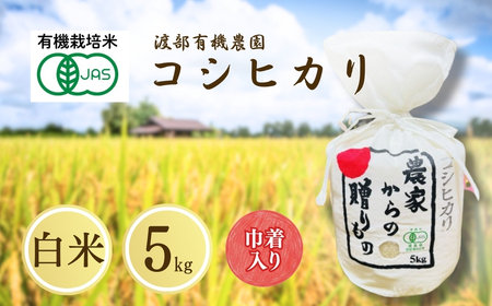 JAS有機米 コシヒカリ 白米 5kg キンチャク入り ｜ 令和7年産 渡部有機農園