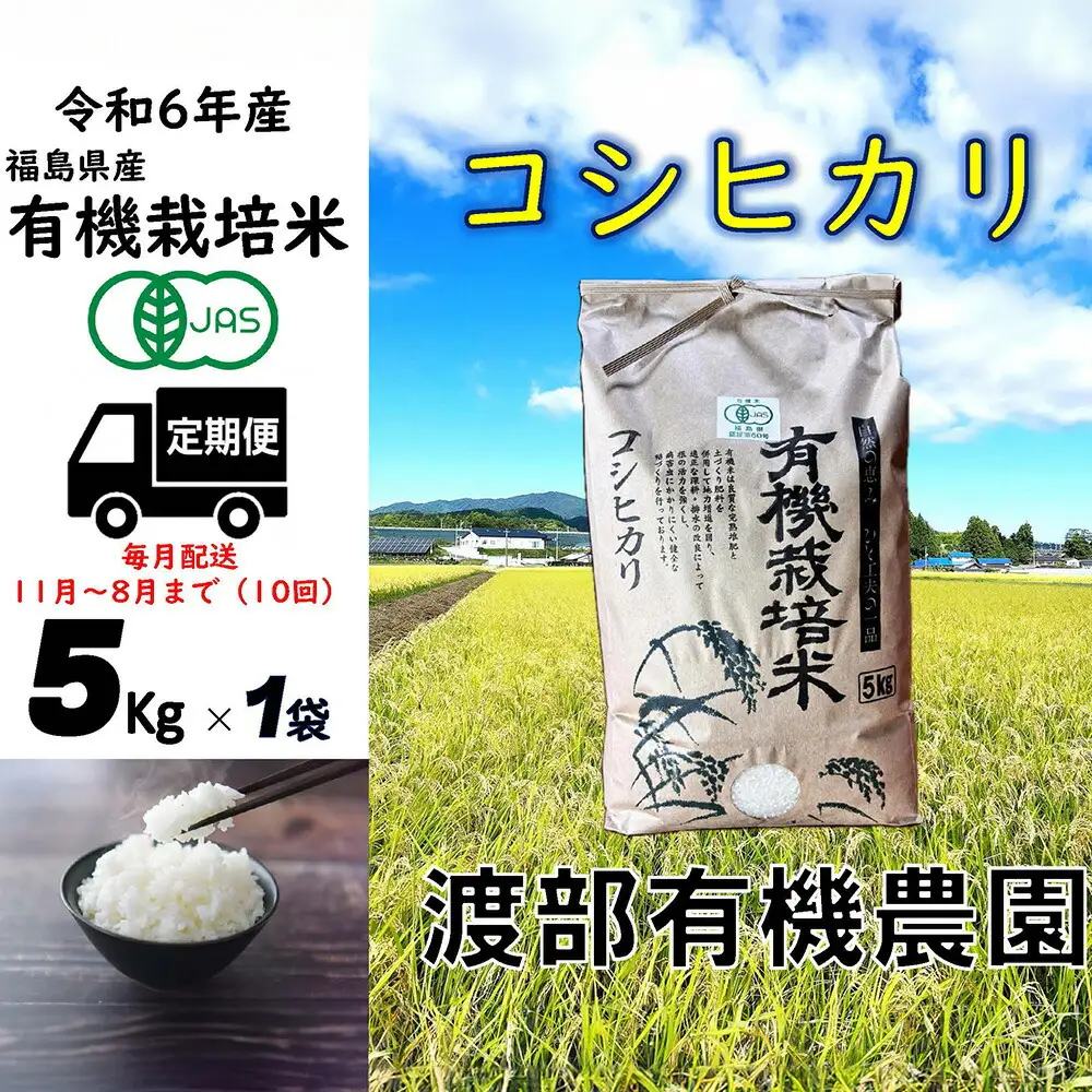 【定期便】 JAS有機米 コシヒカリ 白米 5kg ×10月)  ｜ 令和7年産 渡部有機農園