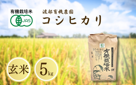 JAS有機米 コシヒカリ 玄米 5kg ｜ 令和7年産 渡部有機農園