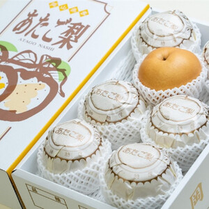 梨 2026年  家庭用  あたご梨 約4kg（3～9玉） 箱青秀 【岡山県産 フルーツ ギフト 石原果樹園】