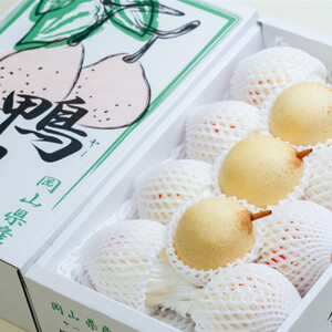 梨 2026年  家庭用  ヤーリ― （6～13玉）約4kg 箱青秀 【岡山県産 フルーツ ギフト 石原果樹園】