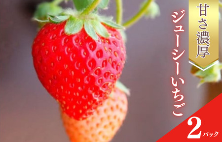 甘さ濃厚 ジューシーいちご２パック 千葉県船橋市産 よつぼし おいCベリー 紅ほっぺ やよいひめ