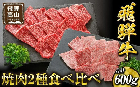 飛騨高山の誇り 飛騨牛焼肉 リブロース＆モモ合計600g 2～4人前　｜飛騨牛 ブランド PS001 　
