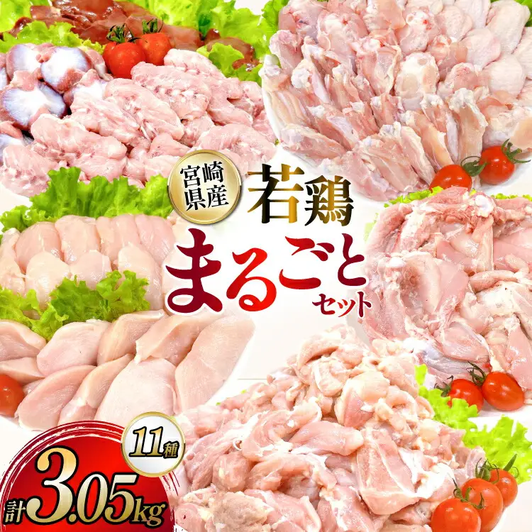 鶏肉 業務用 宮崎県産 若鶏 もも切身 むね切身 筋なしささみ 砂肝 肝 手羽先 手羽中 手羽元 肩肉 小肉 骨付きもも 計 3.05kg セット [TRINITY 宮崎県 日向市 452061335] 