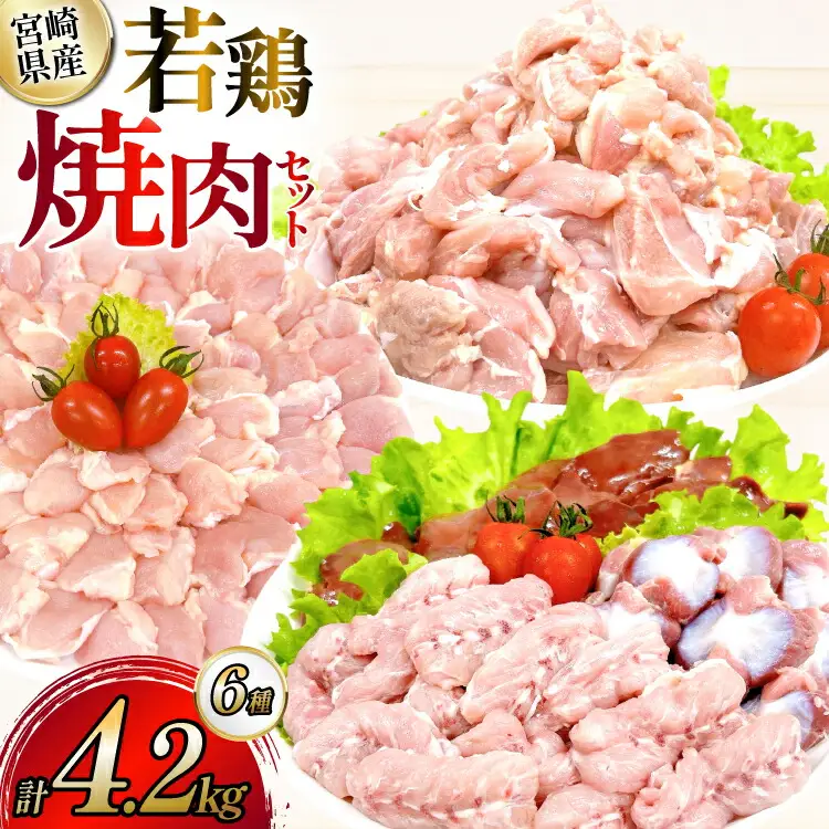 鶏肉 業務用 宮崎県産 若鶏 もも切身 砂肝 肝 小肉 手羽中 肩肉 計 4.2kg セット [TRINITY 宮崎県 日向市 452061333] 