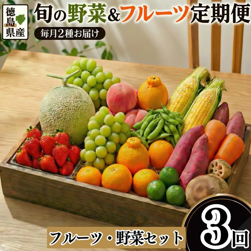 フルーツ 野菜 定期便 3回 定期