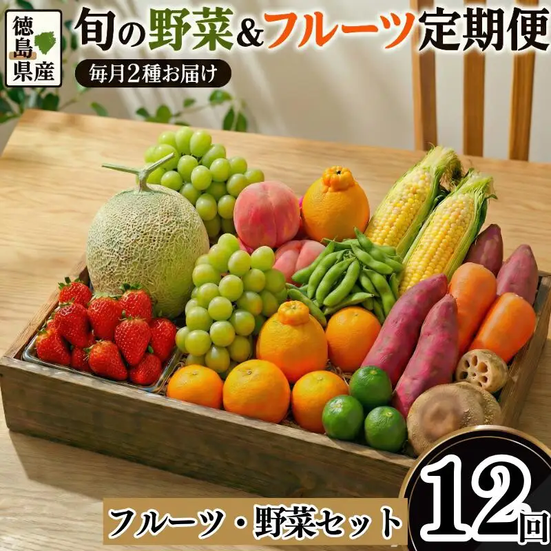フルーツ 野菜 定期便 12回 定期