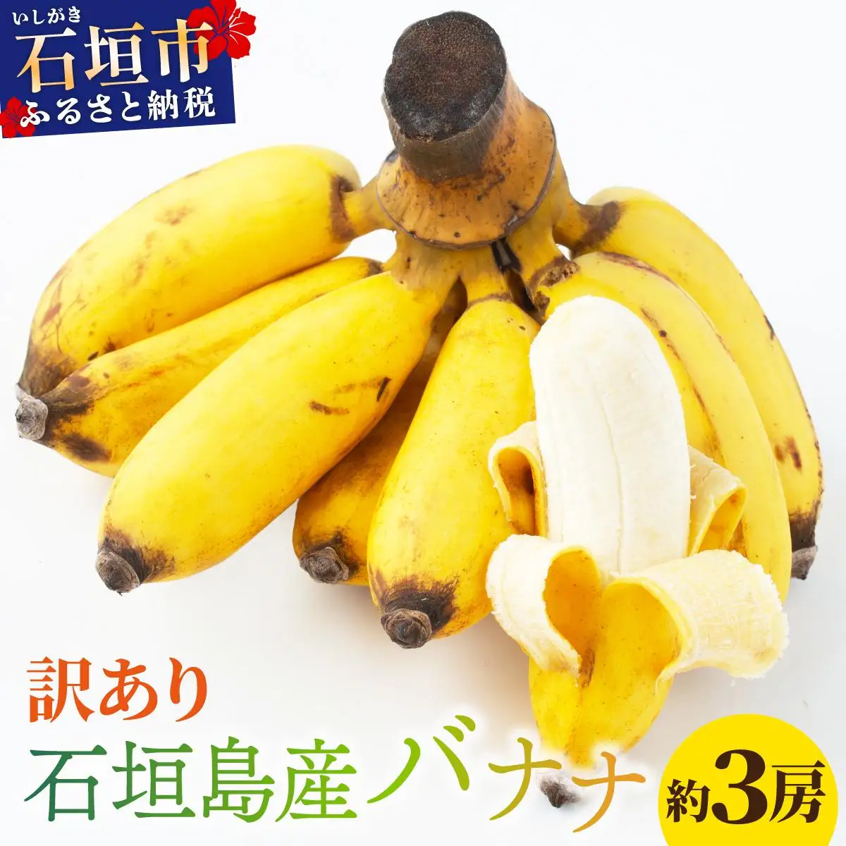 ＜訳あり＞ 大満足！石垣島産バナナ3房 