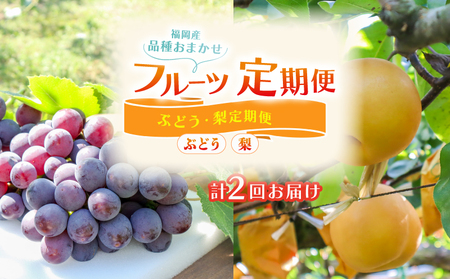 【先行予約】 フルーツ定期便  2回 ぶどう 梨  FRTT