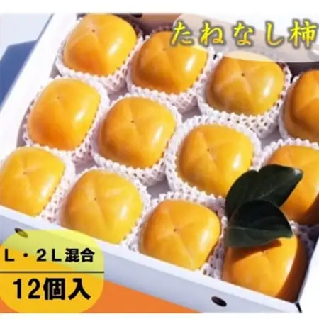 柿【先行受付】柳フルーツ園 たねなし柿 (12個 箱入り) ギフトにも最適!_果物・フルーツ 柿（カキ）  かき_【1021100】