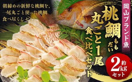【父の日】岡山ブランド魚 桃鯛 桃鯛の丸ごと1尾食べ比べセット 桃鯛約2kgセット（炙り 背腹部（片身分）×1セット 鍋しゃぶ用切り身  背腹部（片身分）×1セット  1尾分桃鯛あら（尾頭付）×1 桃鯛から作った鯛スープ約800g×2袋） 久米南産特製ポン酢180g付 食べ方リーフ付 冷凍 岡山県倉敷市