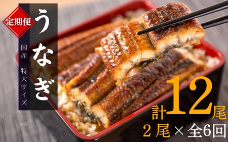 【全6回定期便】大型サイズ ふっくら柔らか 国産うなぎ蒲焼き 2尾×6回 計12尾 約2040g 【tkb310】 