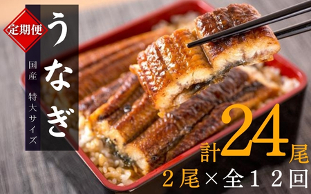 うなぎ 定期便 うなぎ 12回 国産 蒲焼き 計24尾【tkb311】 