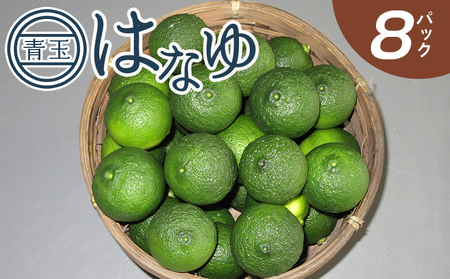 【先行受付】柚子 花柚子 青玉 ８パック hy-0001