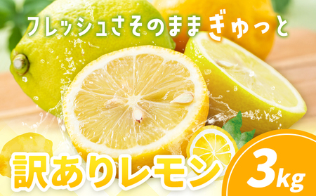 訳あり レモン 3kg《10月上旬-12月下旬頃出荷)》熊本県 津奈木町 青果物 レモン れもん 果物 フルーツ 国産 家庭用