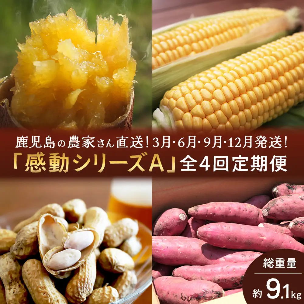 【定期便・年4回】農家の感動シリーズA(約9.1kg) FR-1｜冷凍焼き芋 ゴールドラッシュ とうもろこし 塩茹で 落花生 おおまさり ピーナッツ 芋 さつまいも 紅はるか 野菜定期便 旬 産地直送 サラダ 南大隅町