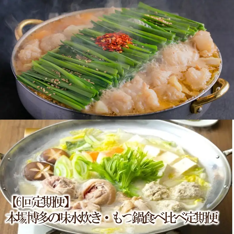 【6回定期便】本場博多の味水炊き・もつ鍋食べ比べ定期便【034-0070】