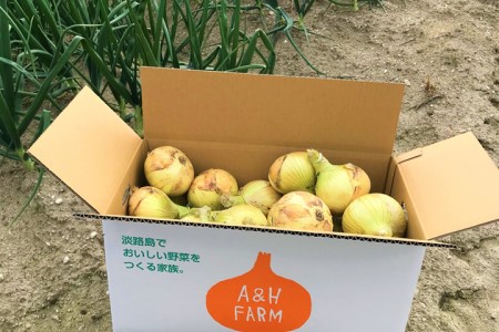 【期間限定】島玉ねぎ（新玉ねぎ）10kg　◆発送3月～
