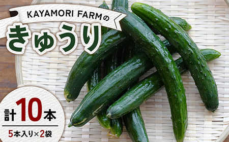 KAYAMORI FARMのきゅうり 計10本（5本入り×2袋） F6U-371