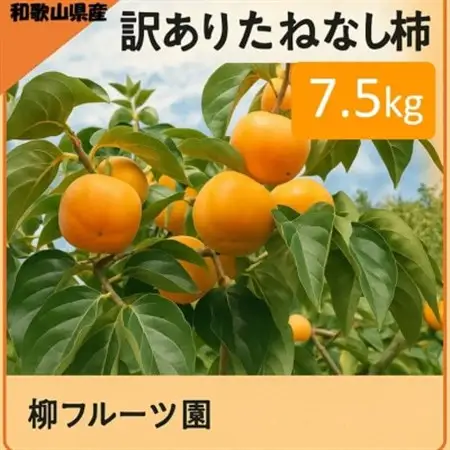 柿【先行受付】柳フルーツ園(訳あり)たねなし柿 約7.5kg_柿　たねなし柿　橋本市産柿　渋柿_【1077001】