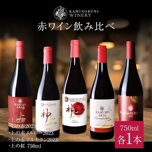 上ノ国ワイナリーの赤ワイン飲み比べセット「上の赤＆上の赤2023＆上の赤メルロー2023＆上の赤マルセラン2023＆上の紅」　750ml×各1本　赤ワイン　ワイン　北海道ワイン　wine　WINE　プレゼント　贈り物　贈答品　お家パーティ
