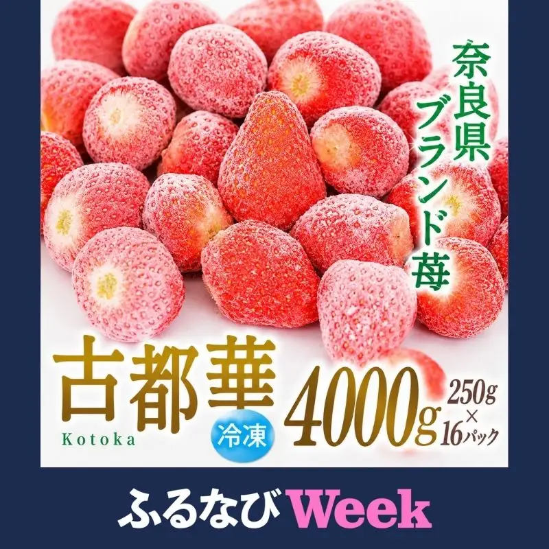 【ふるなびWEEK対象】いちご 冷凍 古都華 約4kg [250g×16パック] 葛城市【smlk033-week】