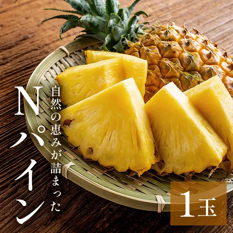 Nパイン1玉　自然の恵み詰まったパイナップル 172-1