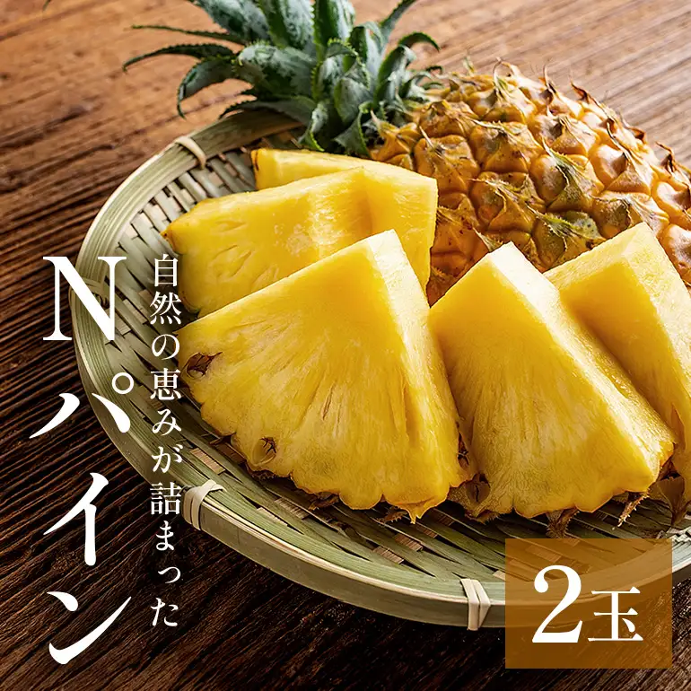 Nパイン2玉　自然の恵み詰まったパイナップル 172-2