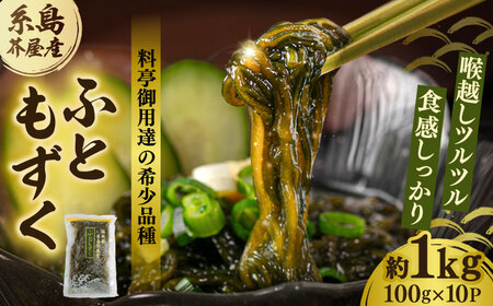 【お中元対象】糸島産ふともずく（ソウメンノリ）100ｇ×10P　糸島市 / 糸島漁業協同組合芥屋支所 モズク 海藻[AHR002]