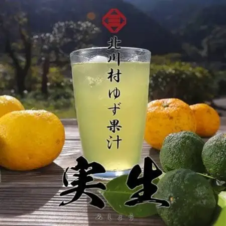 北川村ゆず果汁「実生」300ml×3本【配送不可地域：離島】【1704222】