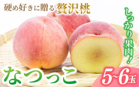 もも しっかり果肉！硬め好きに贈る贅沢桃　なつっこ【5～6玉】【先行予約】【2026年6月下旬～8月上旬順次発送】【aozf002】