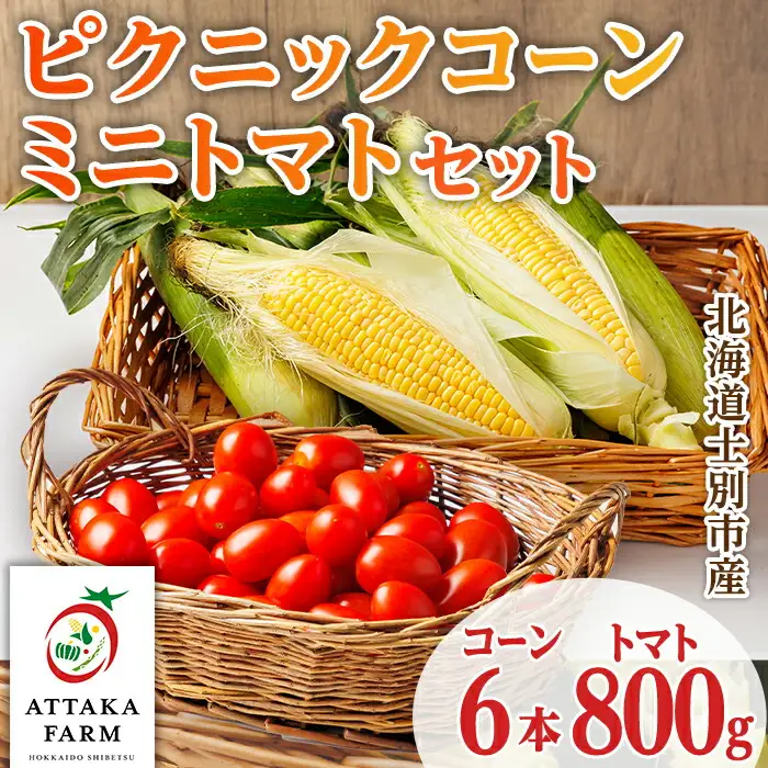 《先行予約受付中》北海道 士別市産 極甘 ピクニックコーン(6本)とミニトマト(800g)のセット 【2026年8月以降順次発送】 とうもろこし トウモロコシ とうきび コーン トマト ミニトマト 野菜 新鮮 産地直送 北海道 北海道産 国産 旬 【あったかふぁーむ】【B7128】