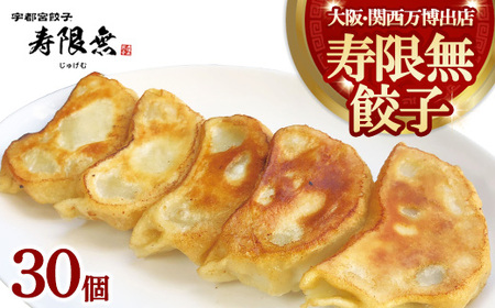 寿限無餃子 30個｜ぎょうざ ギョウザ ギョーザ 冷凍食品 冷凍餃子 惣菜 夜ご飯 おかず おつまみ 手軽 時短 お取り寄せ グルメ