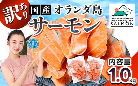 《訳あり》山田町産オランダ島サーモン切り身 約1kg×1袋【長根水産】無添加鮭 魚介類 海鮮 訳アリ 規格外 不揃い さけ サケ 鮭切身 シャケ 切り身 冷凍 家庭用 おかず 弁当 トラウトサーモン 三陸山田 山田町 山田湾 海産品 YD-1029