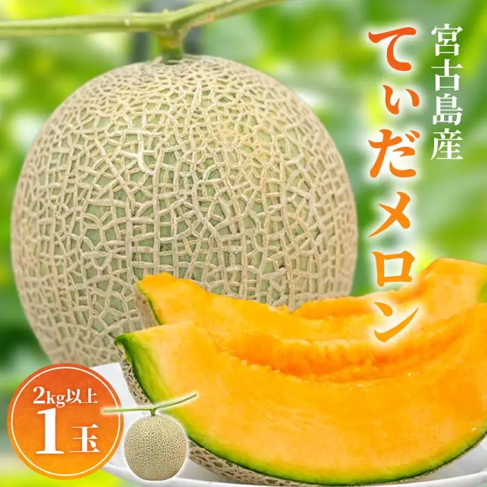 ＜先行受付＞【8farm】宮古島産てぃだメロン1玉（2kg以上）《2026年12月～2027年1月発送》（JC010）
