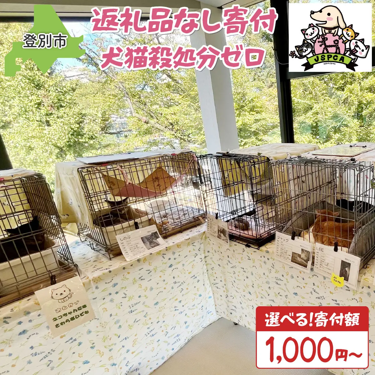 日本動物愛護協会殺処分低減活動への寄附【犬猫殺処分ゼロ】（返礼品なし）【MRI-AiD】【寄付額：3000円】【pr-0902-2】