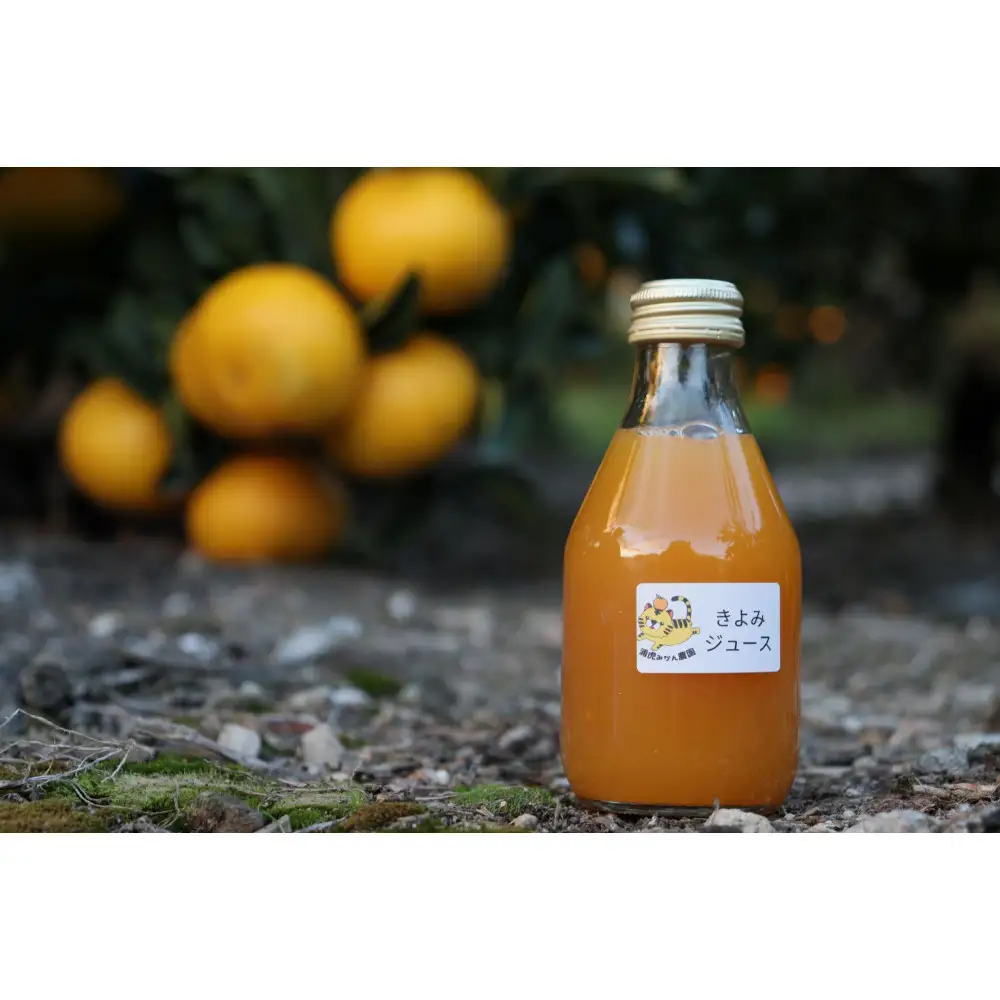数量限定 有田みかんの産地から届く 果汁100％！ 搾りたての柑橘ジュース 180ml×24本