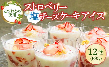 ストロベリー塩チーズケーキアイス 12個セット ※離島への配送不可
