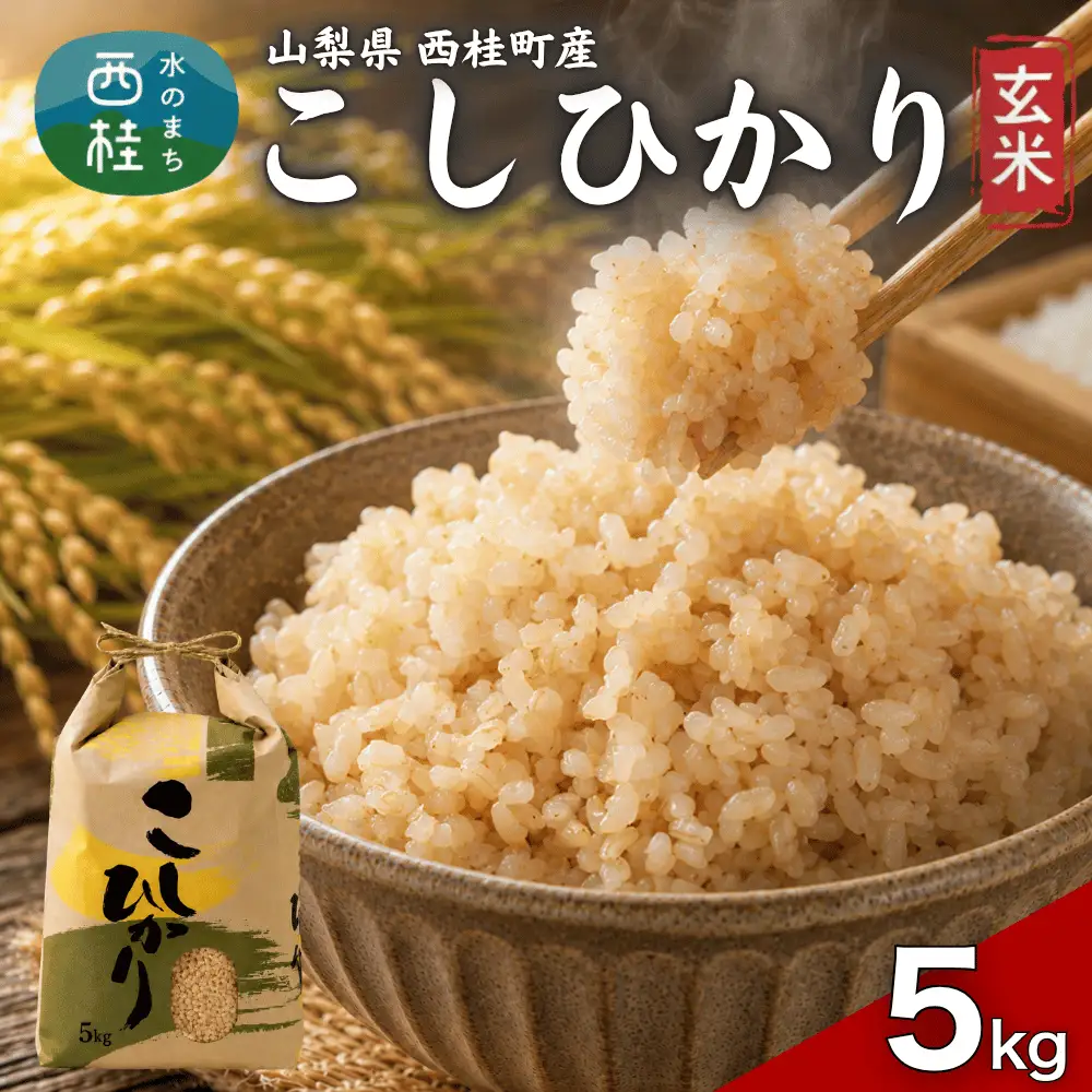 コシヒカリ【玄米】 5キロ 1袋 / 国産 こしひかり  5キロ 令和7年産 米 お米 保存袋 生活必需品 ギフト 贈り物 お歳暮 ふるさと納税 送料無料【n0668-05_gou】
