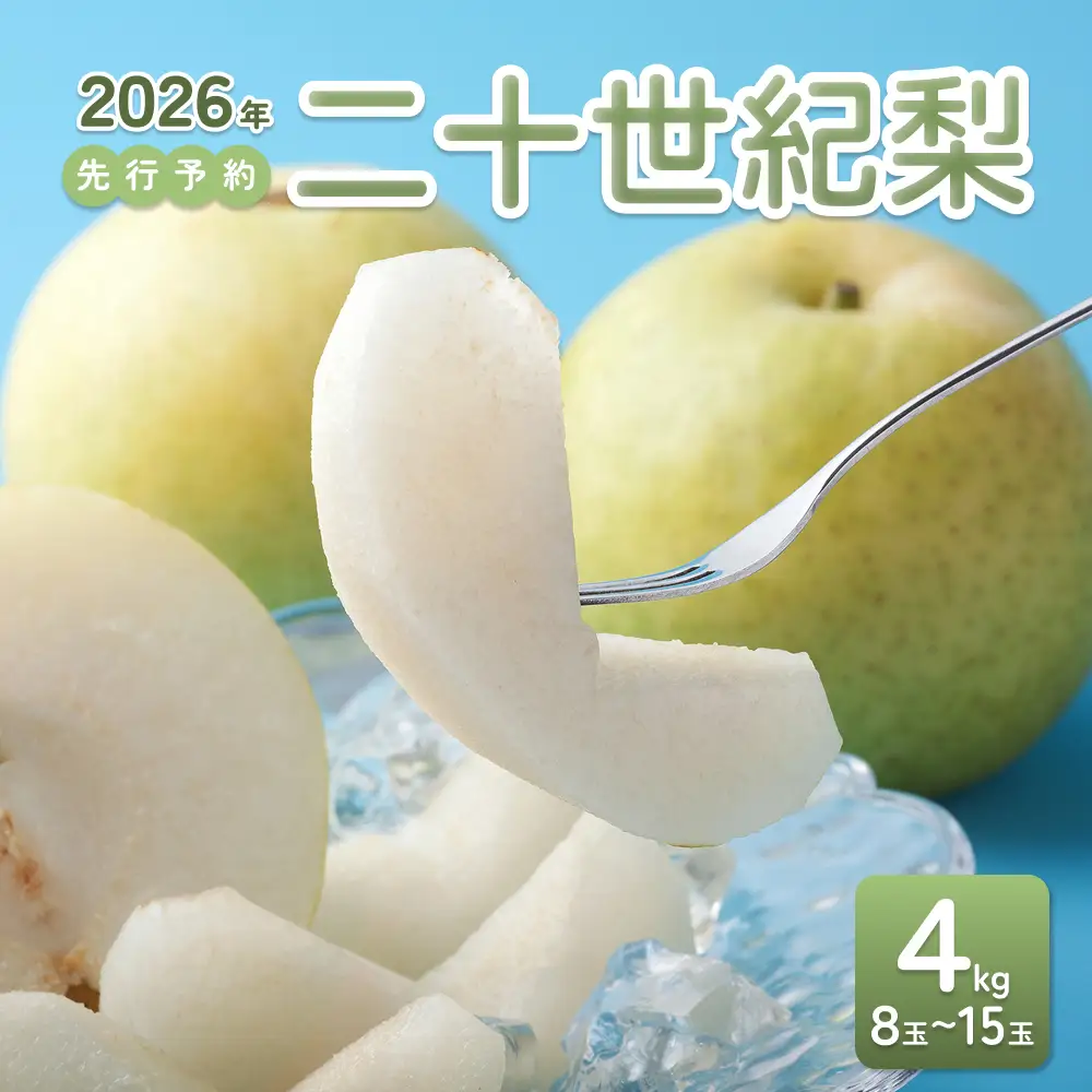 【2026年 先行予約】二十世紀梨 4kg｜鳥取 東光園 梨 2026年収穫後 2026年8月下旬から順次発送【41052】