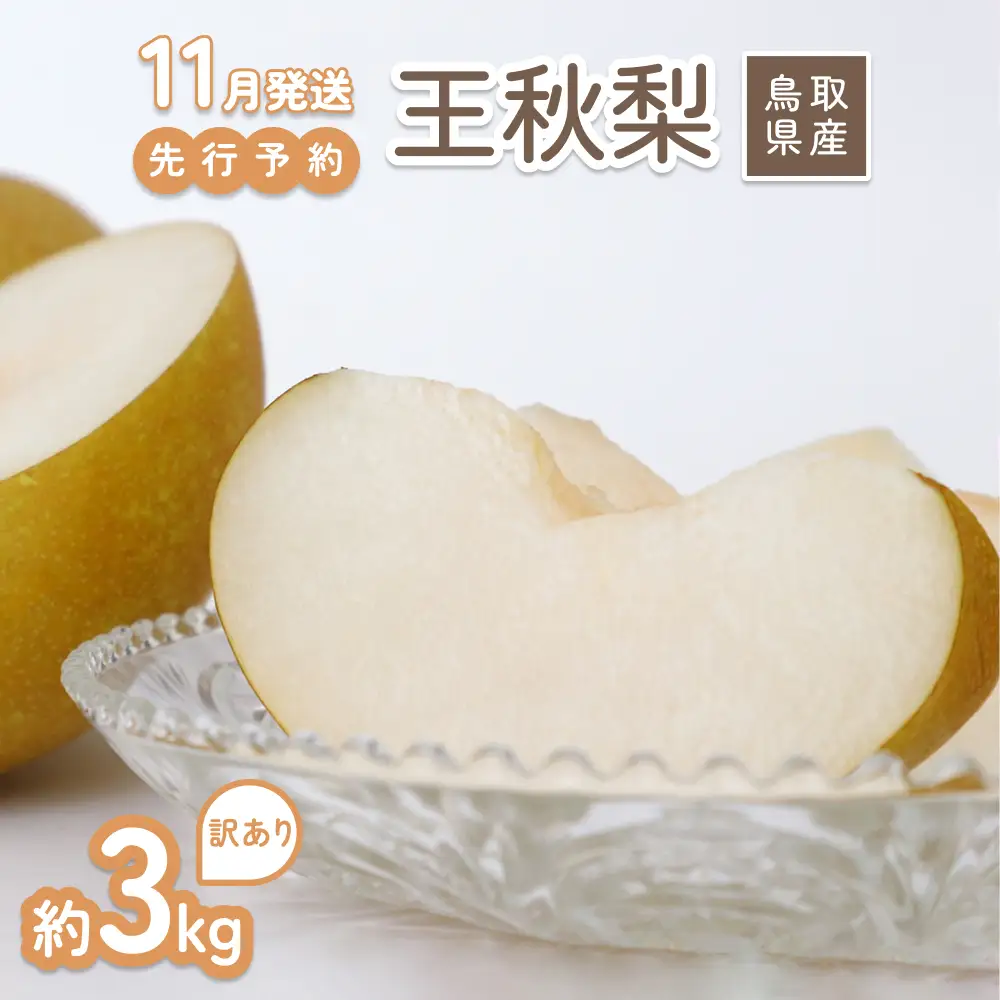 【2026年 先行予約】訳あり 王秋梨 3kg｜鳥取 山根農園 梨 2026年収穫後【41065】