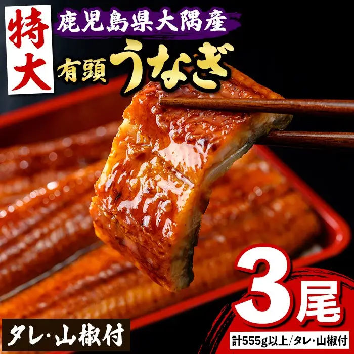 【B57006】特大うなぎ 蒲焼 有頭 (3尾 計555g以上 タレ・山椒付) 鹿児島 国産 大隅産 鰻 蒲焼き【一般社団法人きもつき宇宙協議会】