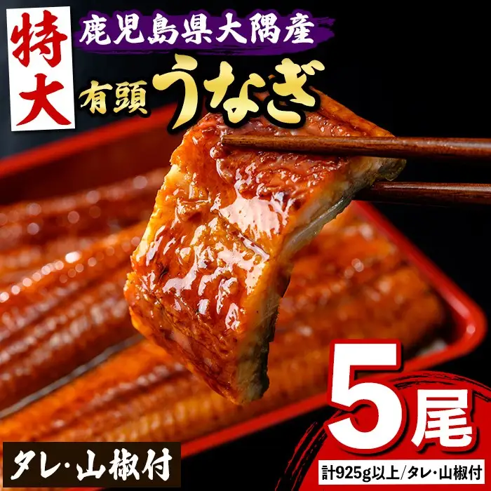【C57006】特大うなぎ 蒲焼 有頭 (5尾 計925g以上 タレ・山椒付) 鹿児島 国産 大隅産 鰻 蒲焼き【一般社団法人きもつき宇宙協議会】