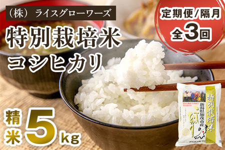 【令和7年産】【定期便3回隔月お届け】新潟県加茂市産 特別栽培米コシヒカリ 精米5kg《順次出荷》 （株）ライスグローワーズ