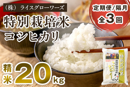 【令和7年産】【定期便3回隔月お届け】新潟県加茂市産 特別栽培米コシヒカリ 精米20kg（5kg×4）《順次出荷》 （株）ライスグローワーズ